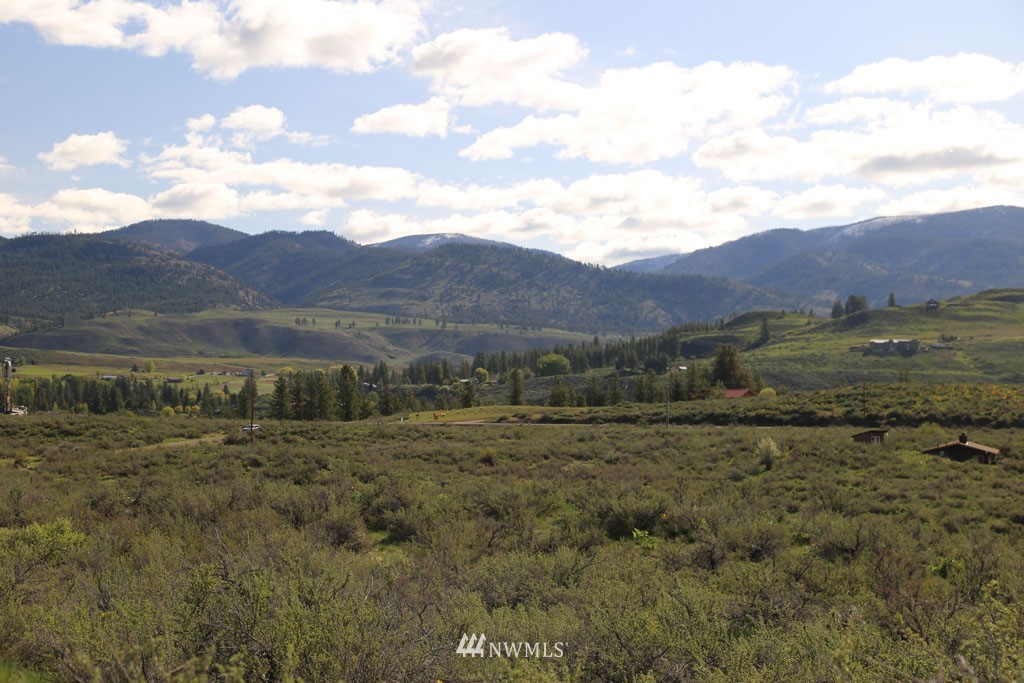 -tbd West Chewuch Road North Winthrop, WA 98862 - Photo 22 of 34 Gallery Image 22