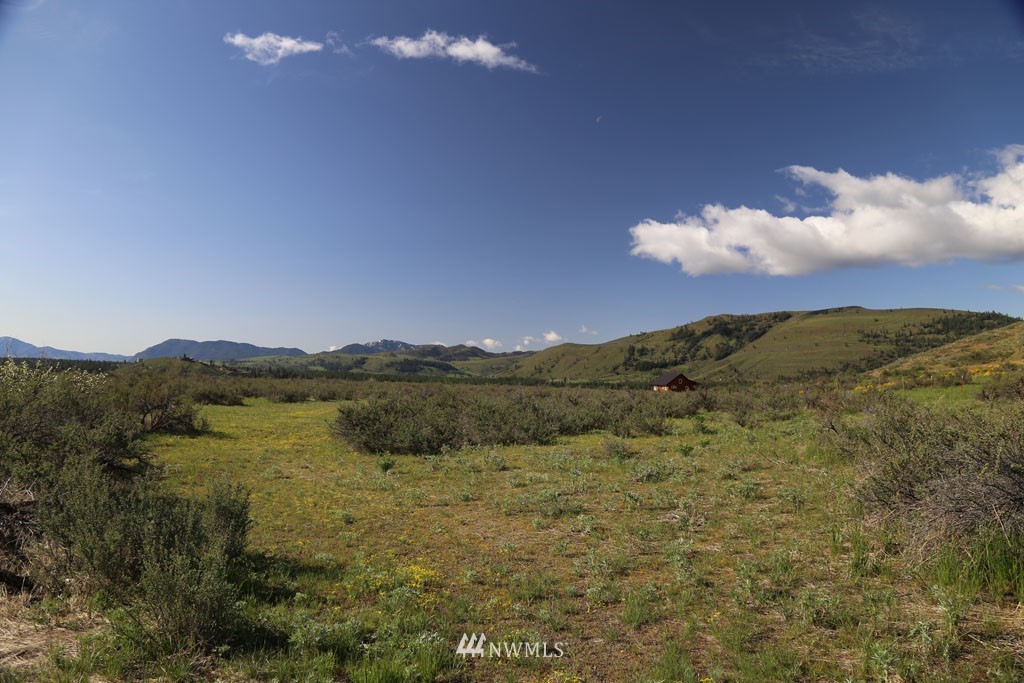 -tbd West Chewuch Road North Winthrop, WA 98862 - Photo 23 of 34 Gallery Image 23