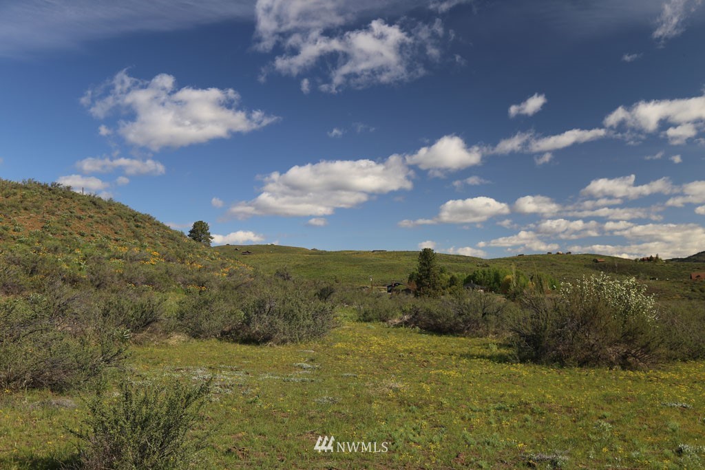 -tbd West Chewuch Road North Winthrop, WA 98862 - Photo 25 of 34 Gallery Image 25