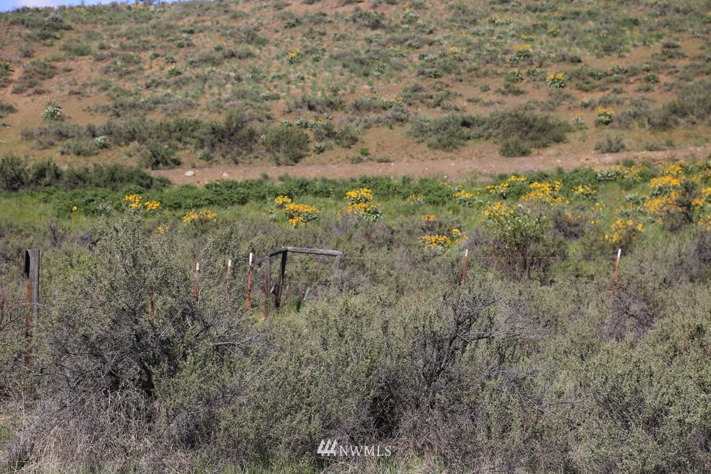 -tbd West Chewuch Road North Winthrop, WA 98862 - Photo 26 of 34 Gallery Image 26