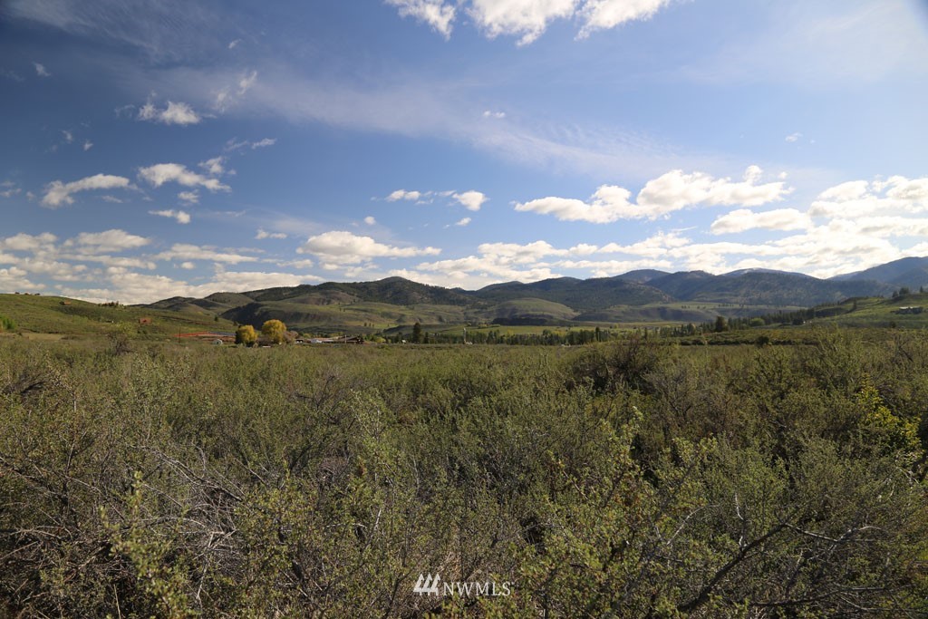 -tbd West Chewuch Road North Winthrop, WA 98862 - Photo 27 of 34 Gallery Image 27