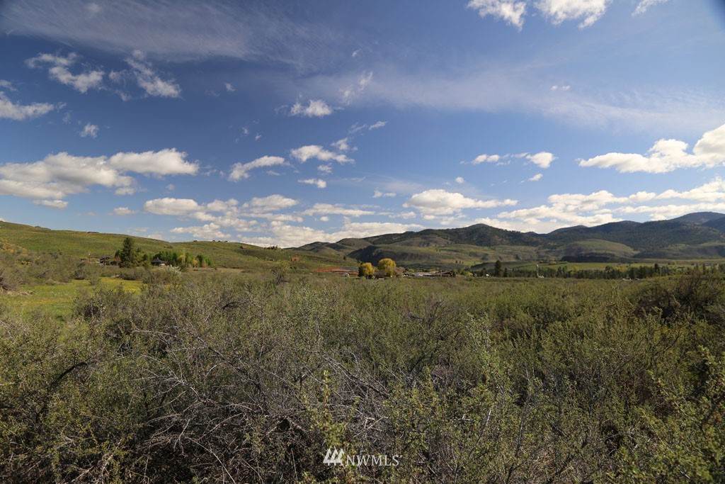 -tbd West Chewuch Road North Winthrop, WA 98862 - Photo 28 of 34 Gallery Image 28