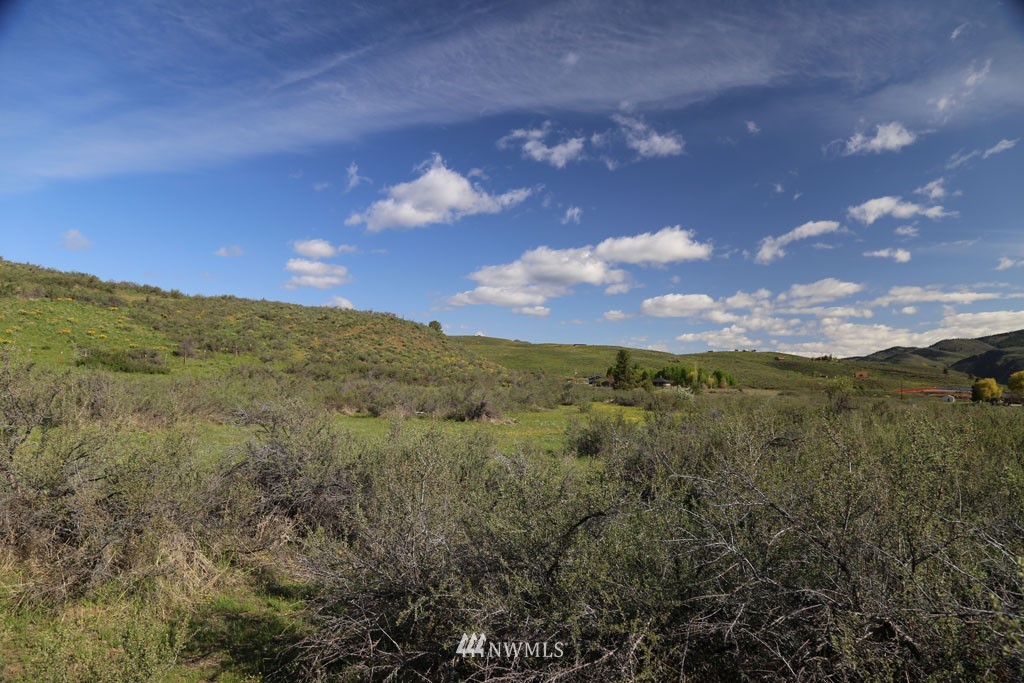 -tbd West Chewuch Road North Winthrop, WA 98862 - Photo 29 of 34 Gallery Image 29