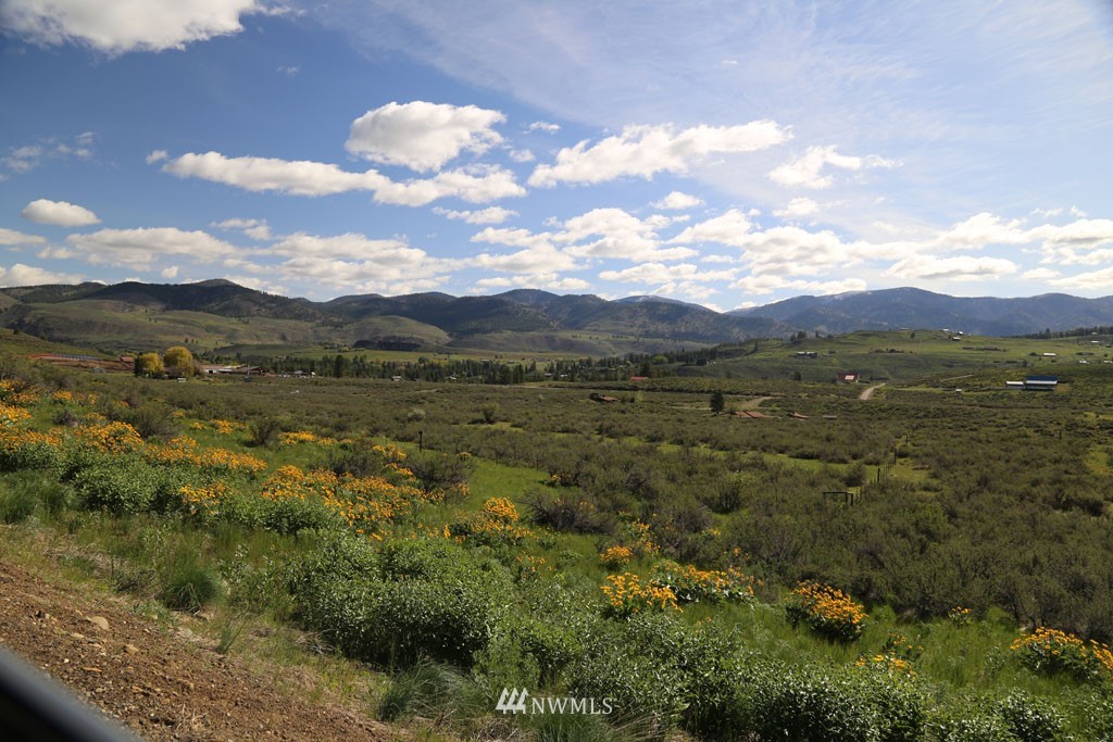 -tbd West Chewuch Road North Winthrop, WA 98862 - Photo 33 of 34 Gallery Image 33