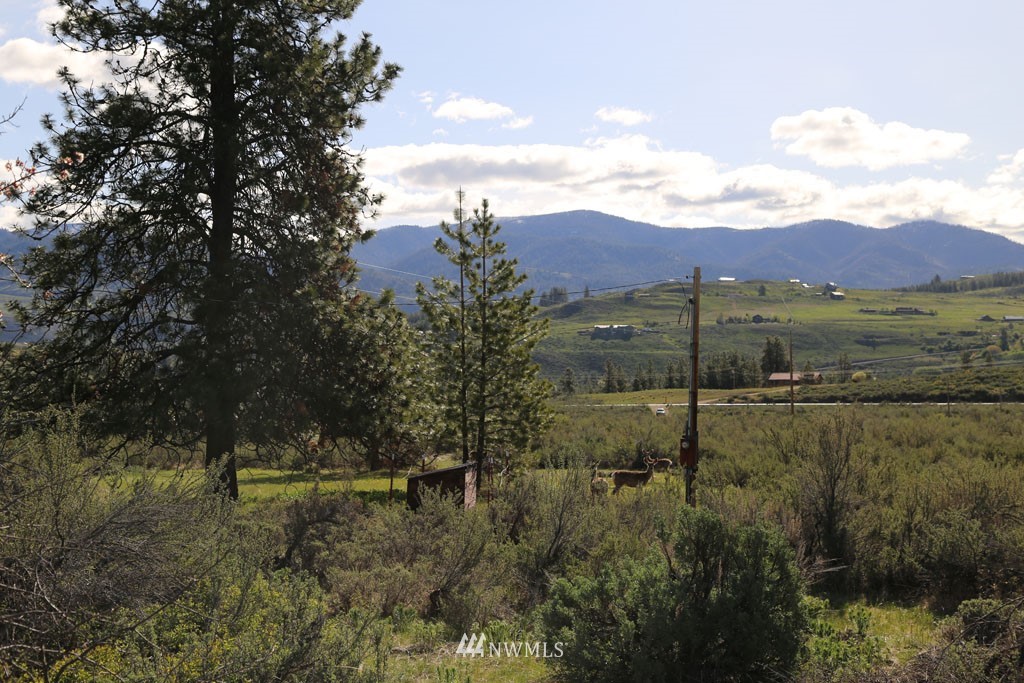 -tbd West Chewuch Road North Winthrop, WA 98862 - Photo 9 of 34 Gallery Image 9