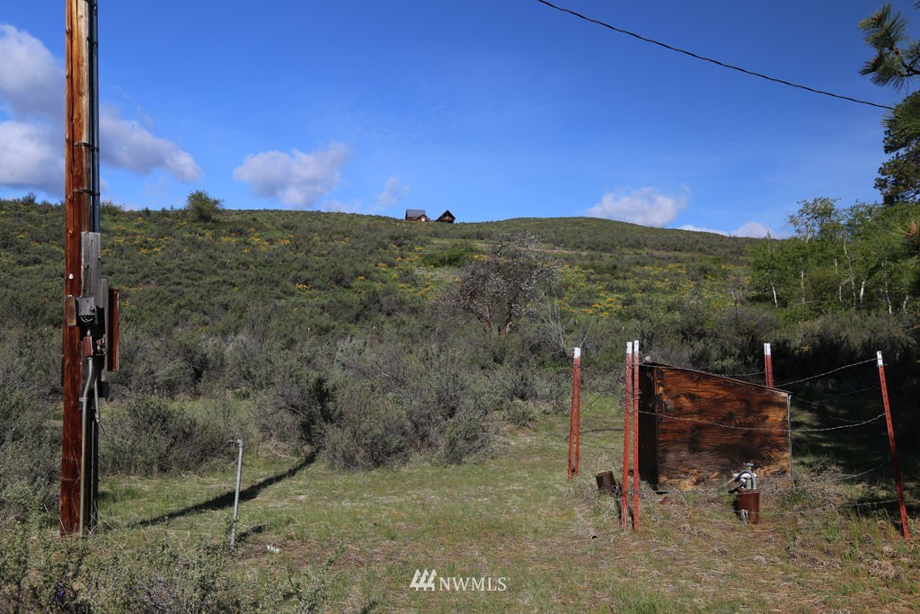 -tbd West Chewuch Road North Winthrop, WA 98862 - Photo 10 of 34 Gallery Image 10