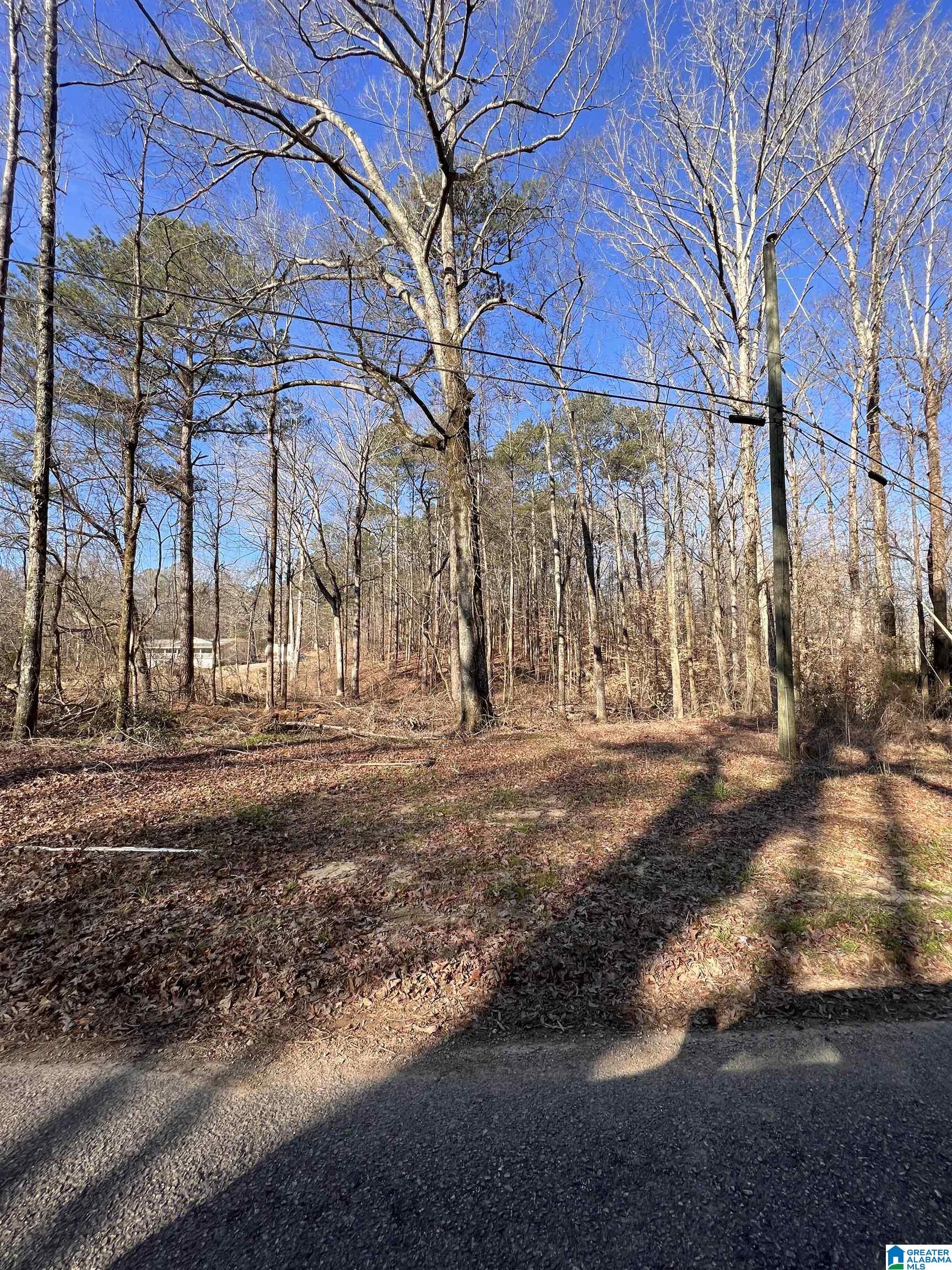 301 Seales Road, Unit 9 Bessemer, AL 35022 - Photo 1 of 3