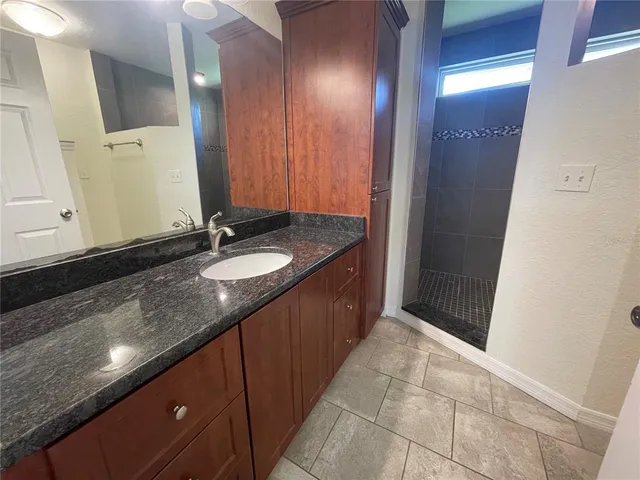 a bathroom with a granite countertop sink a mirror and a shower