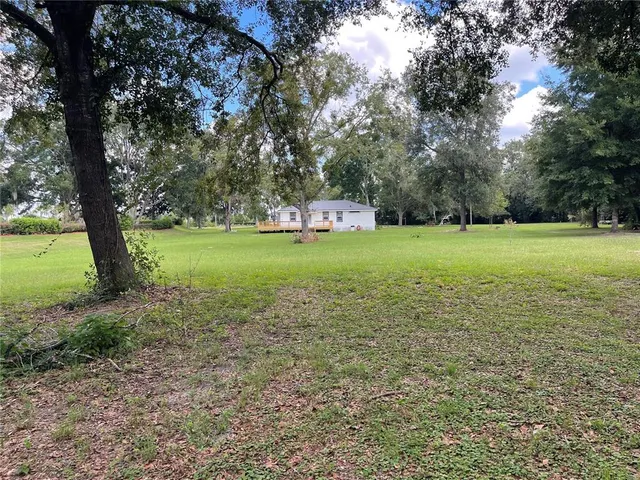 a view of a field with a tree
