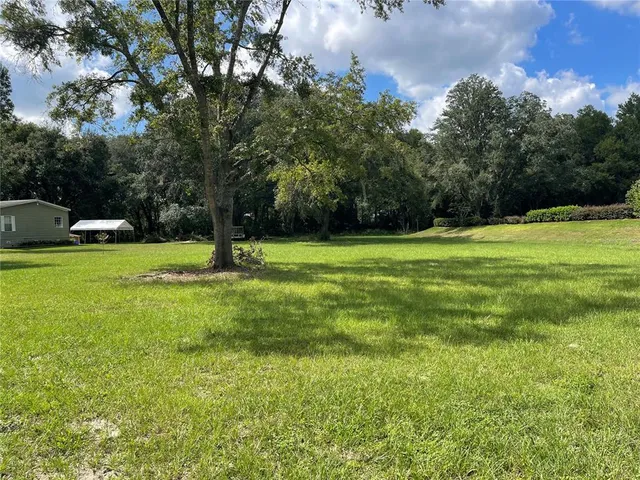a view of a park with large trees