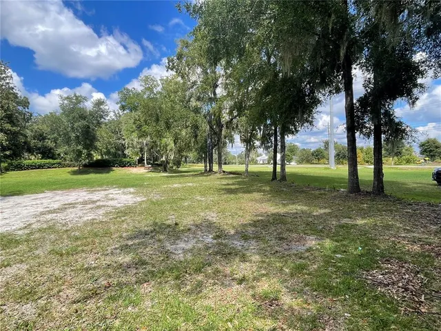 a view of a park with large trees