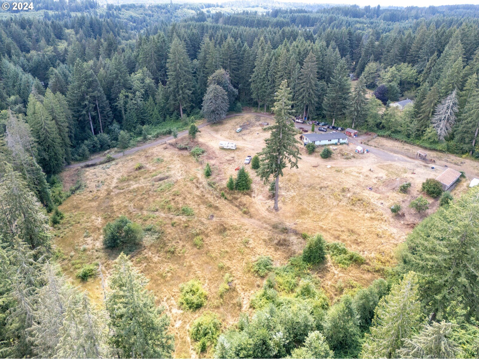 23343 Southeast Firwood Road Sandy, OR 97055 - Photo 2 of 3 a view of a yard with a tree