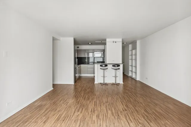 $2,300 | 21 West Goethe Street, Unit 17K, Chicago, IL 60610