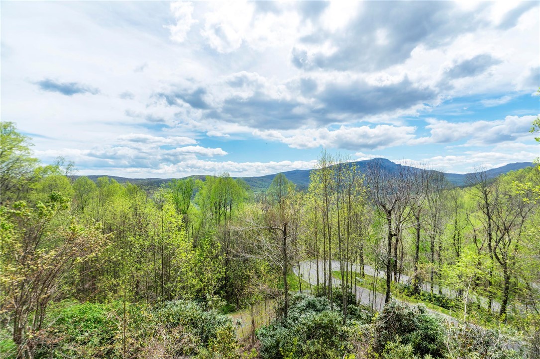 142 Evening View Lane, Unit CA4 Boone, NC 28607 - Photo 25 of 36 a view of an outdoor space and a yard