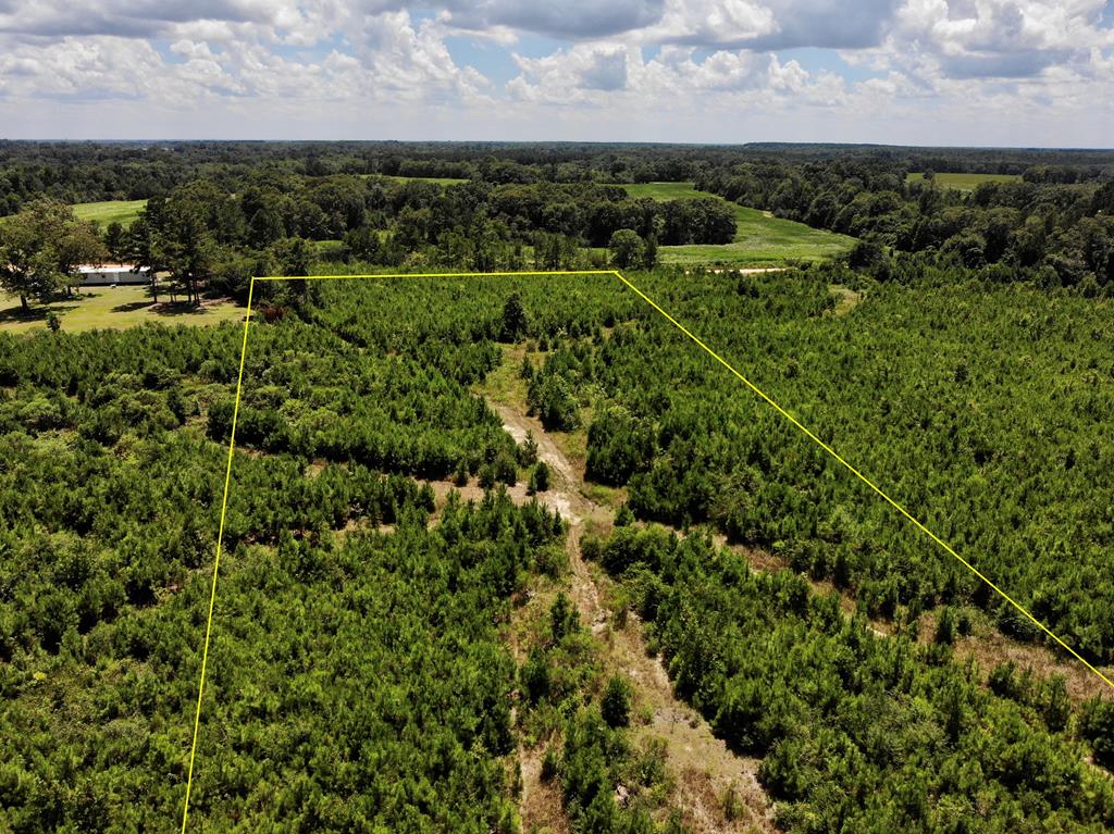 6-ac Old Elba Road Coffee Springs, AL 36318 - Photo 6 of 15