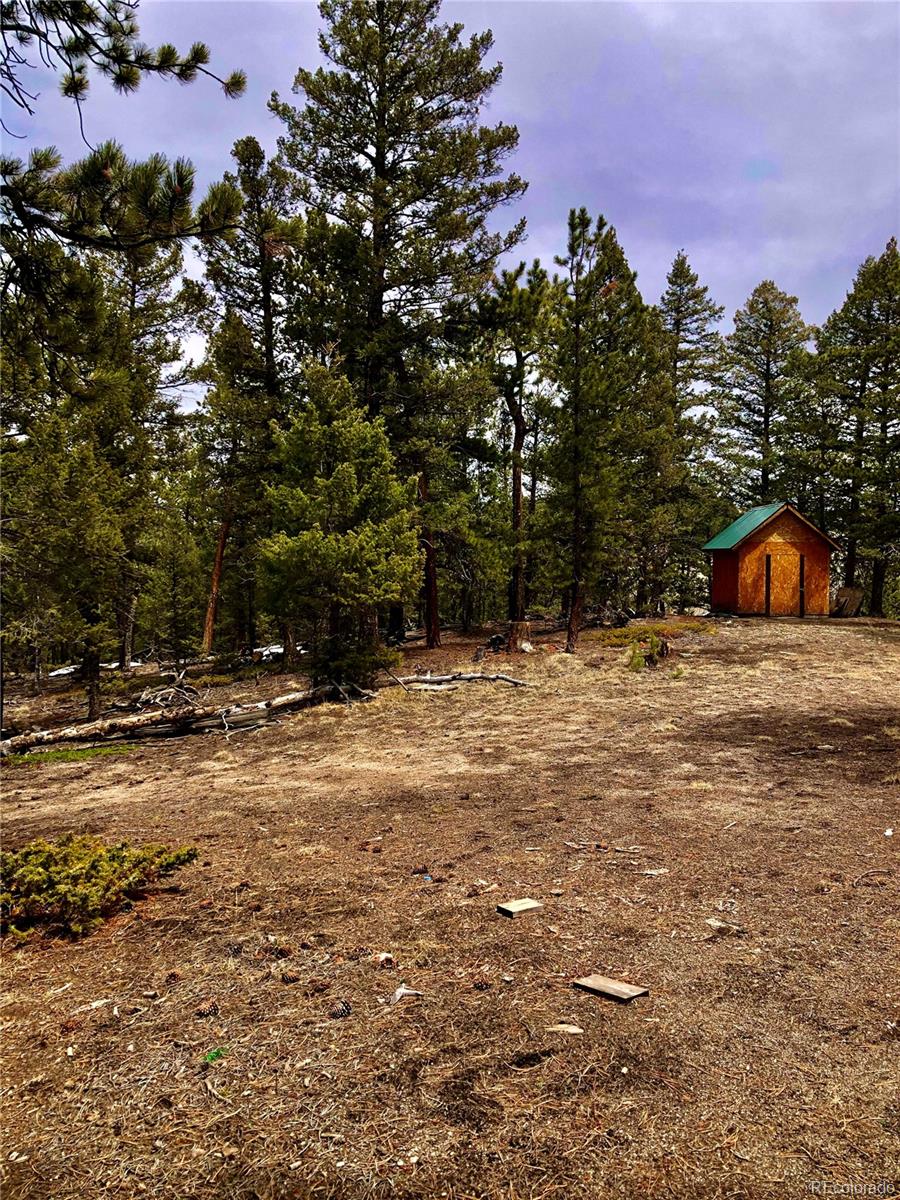 120 Bellows Road Hartsel, CO 80449 - Photo 11 of 11