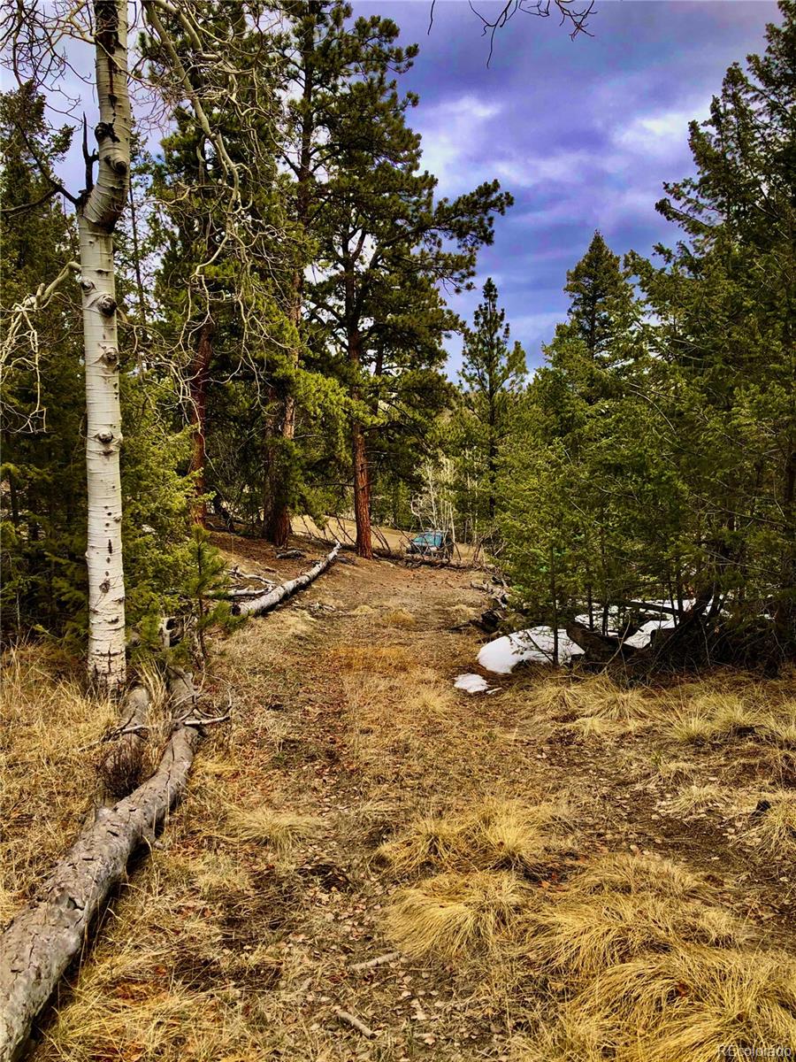 120 Bellows Road Hartsel, CO 80449 - Photo 5 of 11