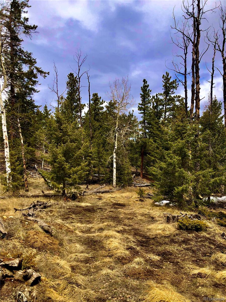 120 Bellows Road Hartsel, CO 80449 - Photo 6 of 11