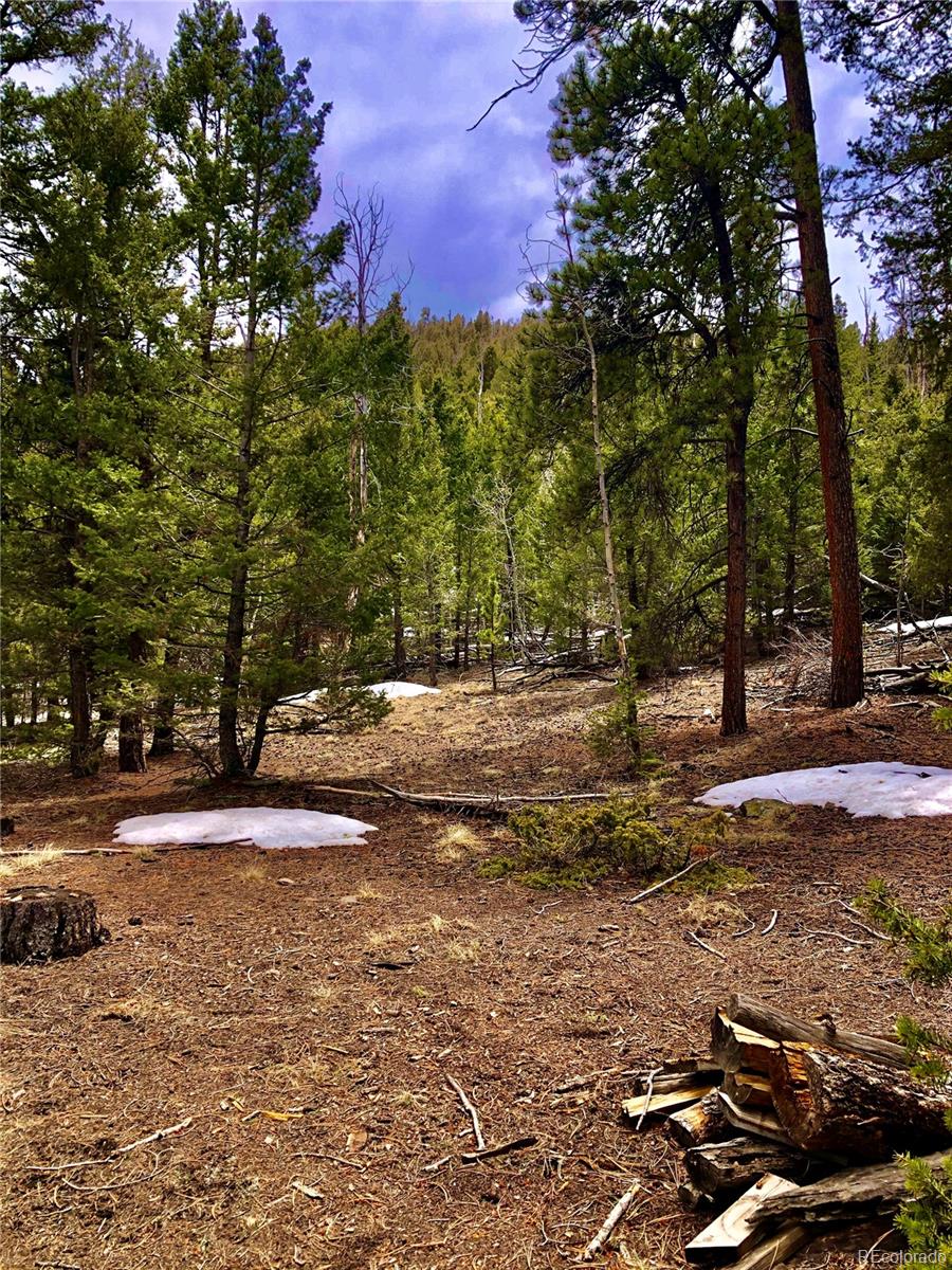 120 Bellows Road Hartsel, CO 80449 - Photo 9 of 11