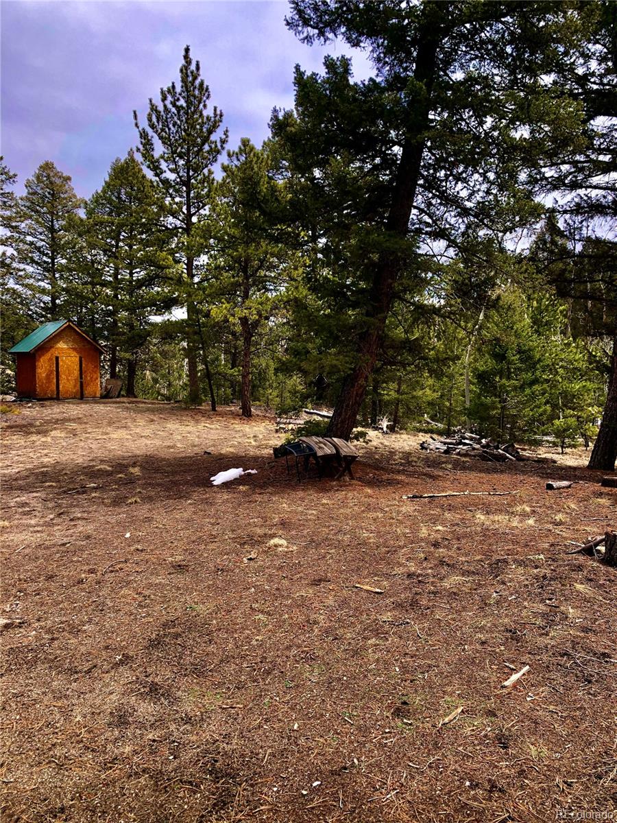 120 Bellows Road Hartsel, CO 80449 - Photo 10 of 11