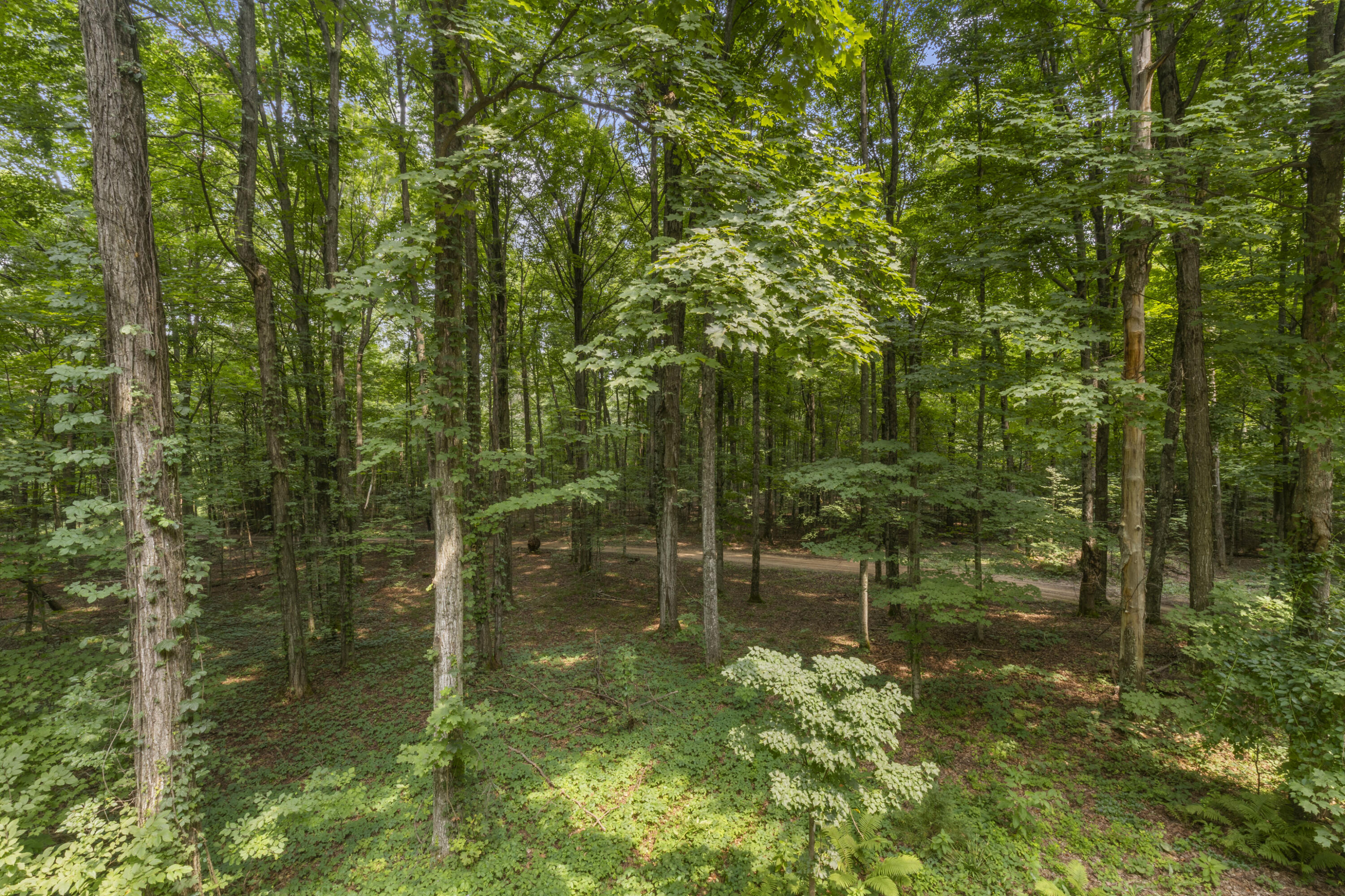 19707 9 Mile Road Copemish, MI 49625 - Photo 49 of 52 0S5A5249