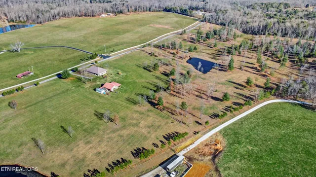 a potted plant sitting in front of a house