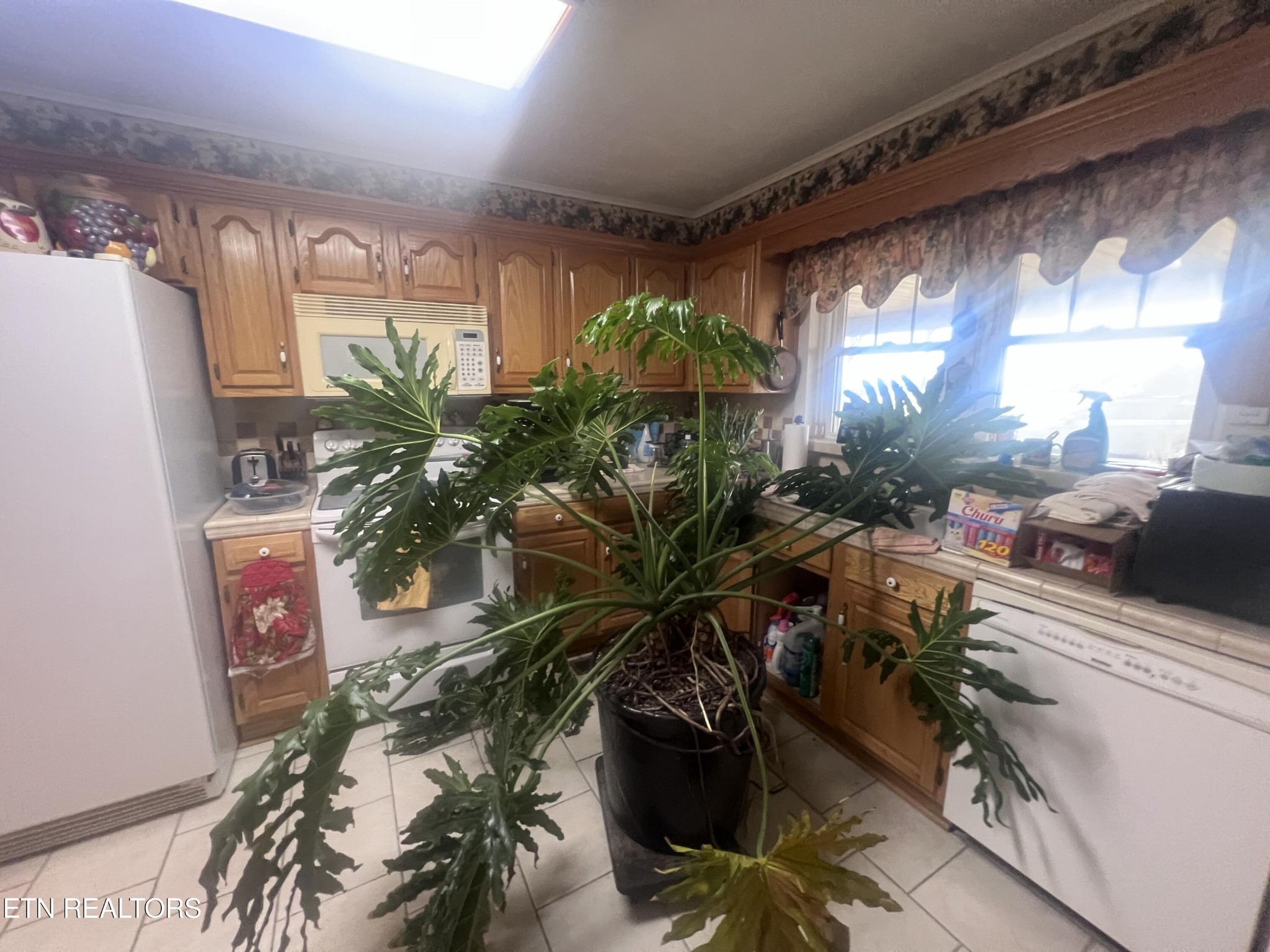 1275 Twin Bridge Road Deer Lodge, TN 37726 - Photo 25 of 47 a potted plant sitting in front of a house