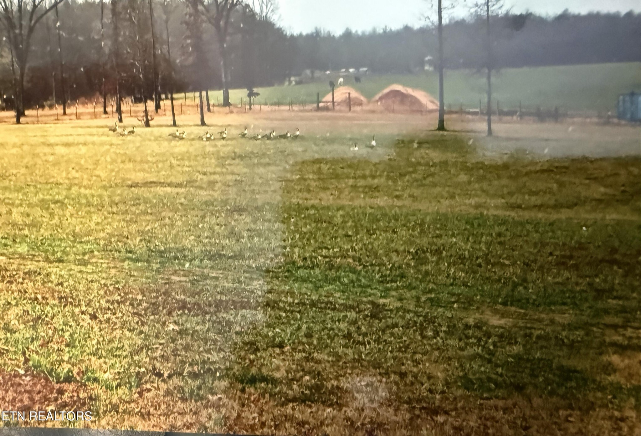 1275 Twin Bridge Road Deer Lodge, TN 37726 - Photo 38 of 47 a swimming pool with an outdoor space and seating area
