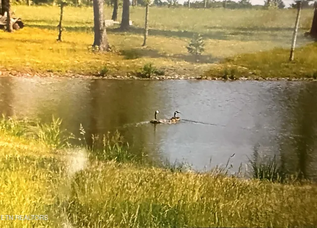 $349,900 | 1275 Twin Bridge Road, Deer Lodge, TN 37726