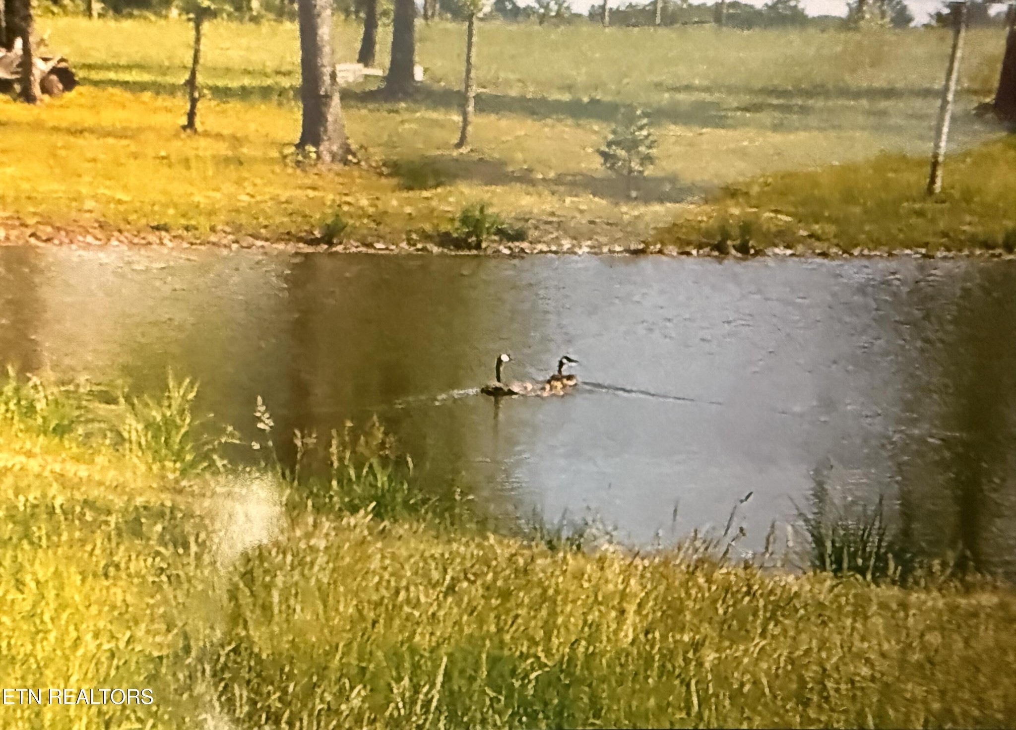 1275 Twin Bridge Road Deer Lodge, TN 37726 - Photo 40 of 47 a view of an ocean