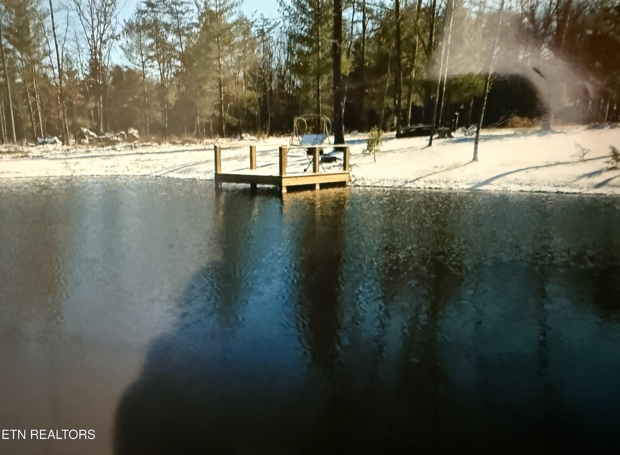 1275 Twin Bridge Road Deer Lodge, TN 37726 - Photo 44 of 47 a view of outdoor space with swimming pool and trees