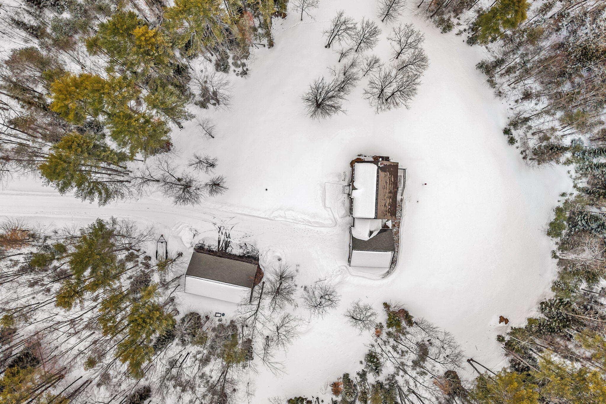 15 Narrow Way Poland, ME 04274 - Photo 83 of 93 Wide open yard