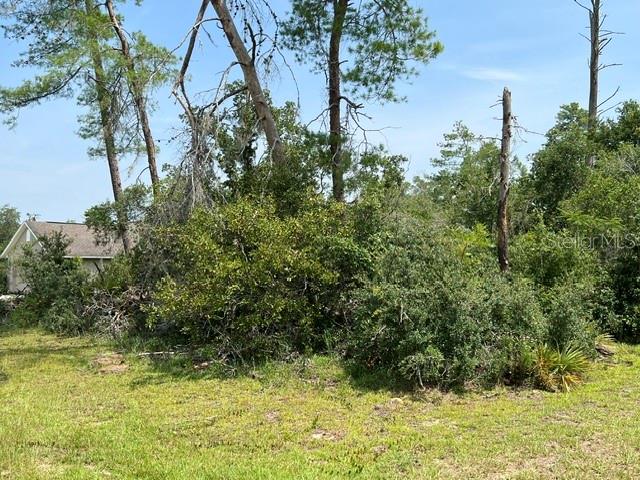 21 Southwest 29th Avenue Road Ocala, FL 34473 - Photo 4 of 12 Gallery Image 4