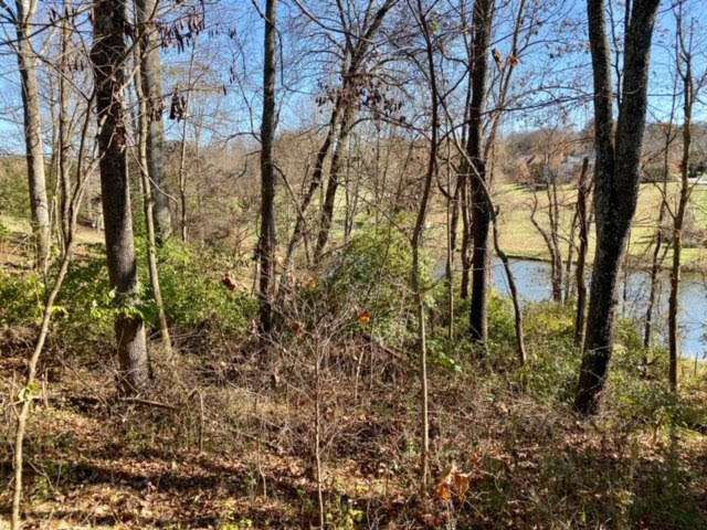 Lot 97 Springview Ridge, Unit 97 Bristol, VA 24202 - Photo 8 of 20 unnamed (8)
