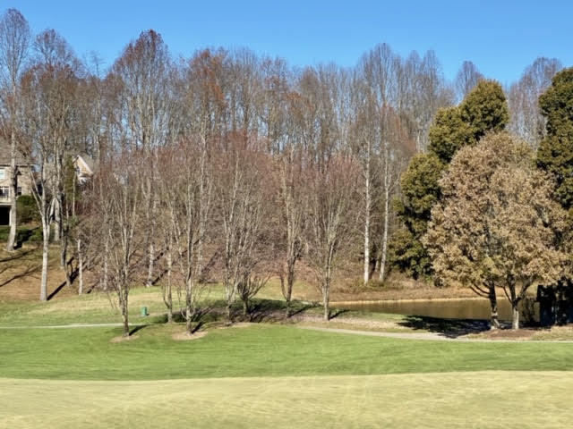 Lot 97 Springview Ridge, Unit 97 Bristol, VA 24202 - Photo 10 of 20 unnamed (10)