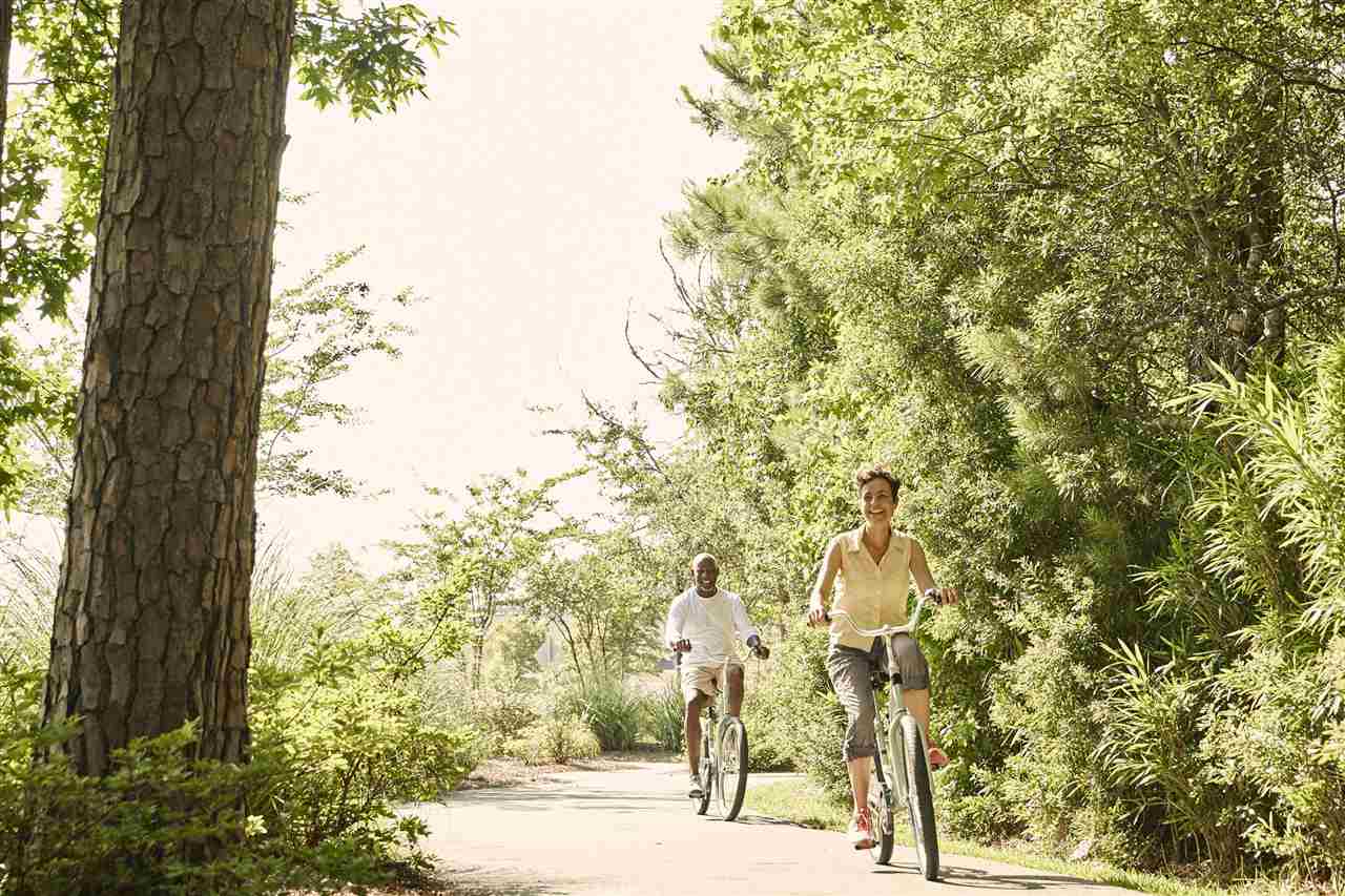 424 Sea Breeze Way Longs, SC 29568 - Photo 24 of 37