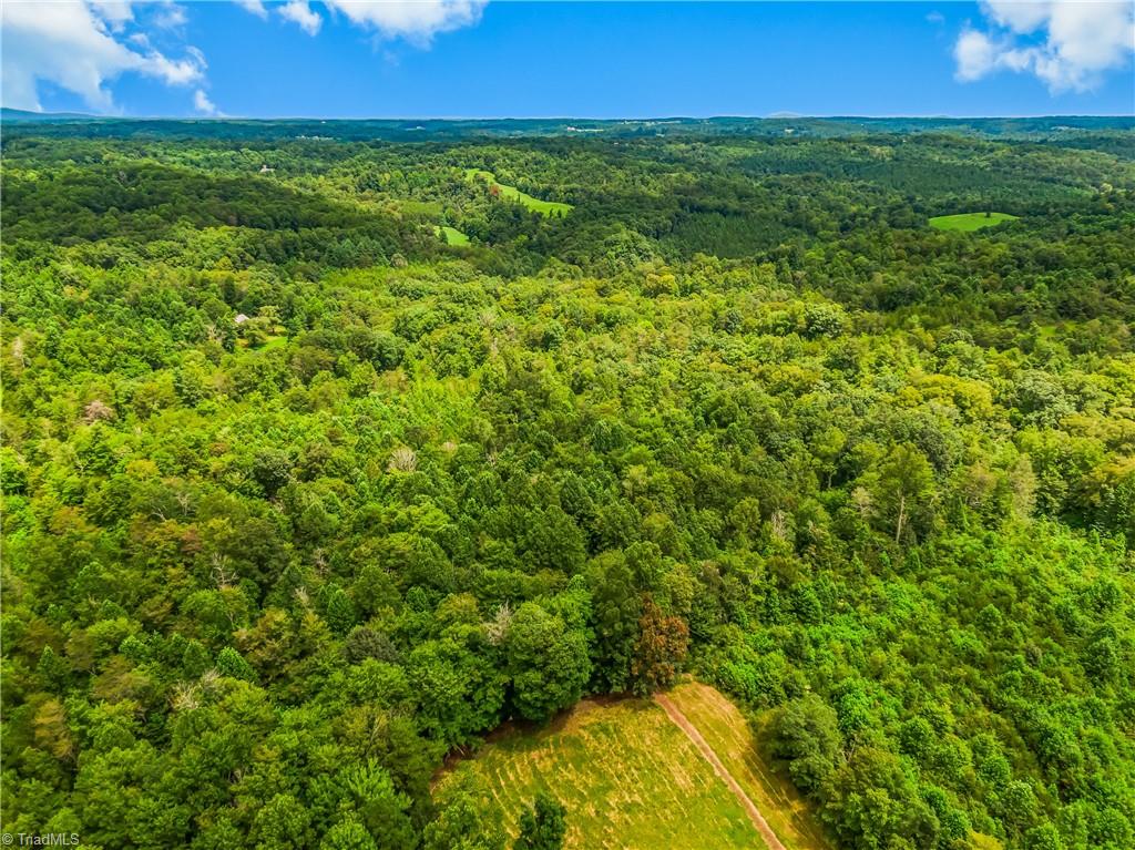 1451 John Ed Mabe Road Danbury, NC 27016 - Photo 12 of 39