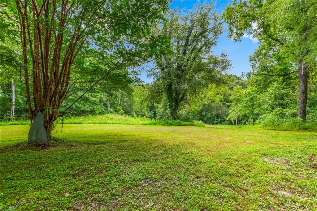 1451 John Ed Mabe Road Danbury, NC 27016 - Photo 16 of 39