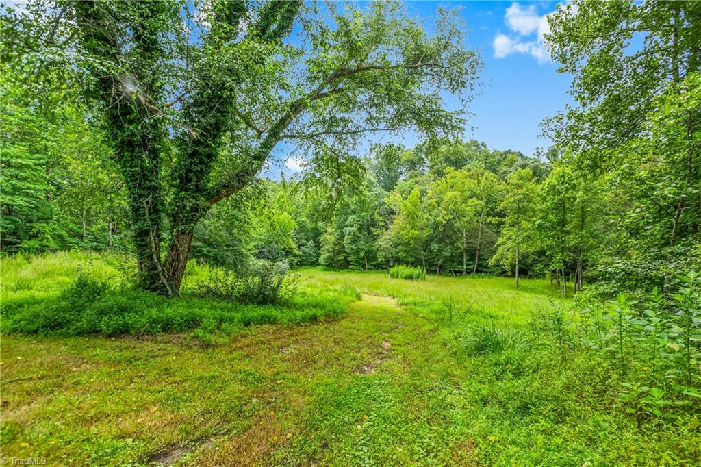 1451 John Ed Mabe Road Danbury, NC 27016 - Photo 17 of 39