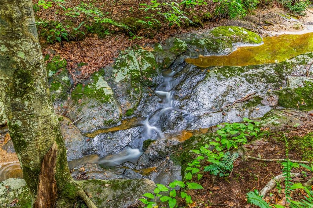 1451 John Ed Mabe Road Danbury, NC 27016 - Photo 19 of 39