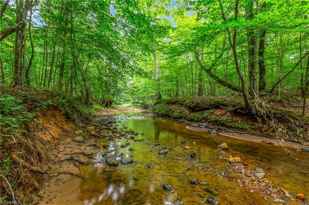 1451 John Ed Mabe Road Danbury, NC 27016 - Photo 20 of 39