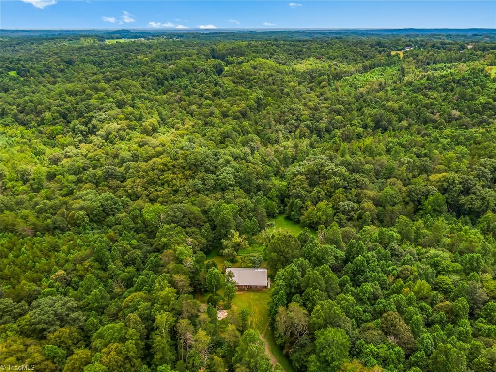 1451 John Ed Mabe Road Danbury, NC 27016 - Photo 2 of 39