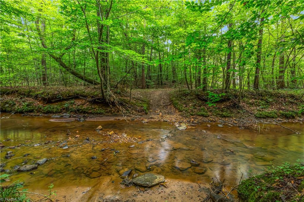 1451 John Ed Mabe Road Danbury, NC 27016 - Photo 21 of 39