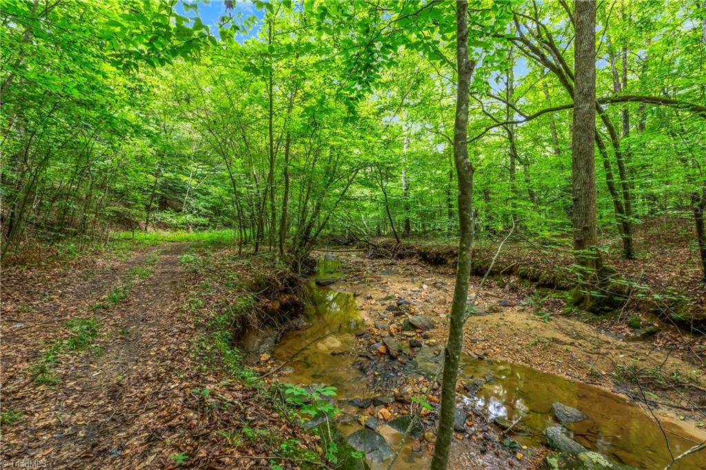 1451 John Ed Mabe Road Danbury, NC 27016 - Photo 22 of 39