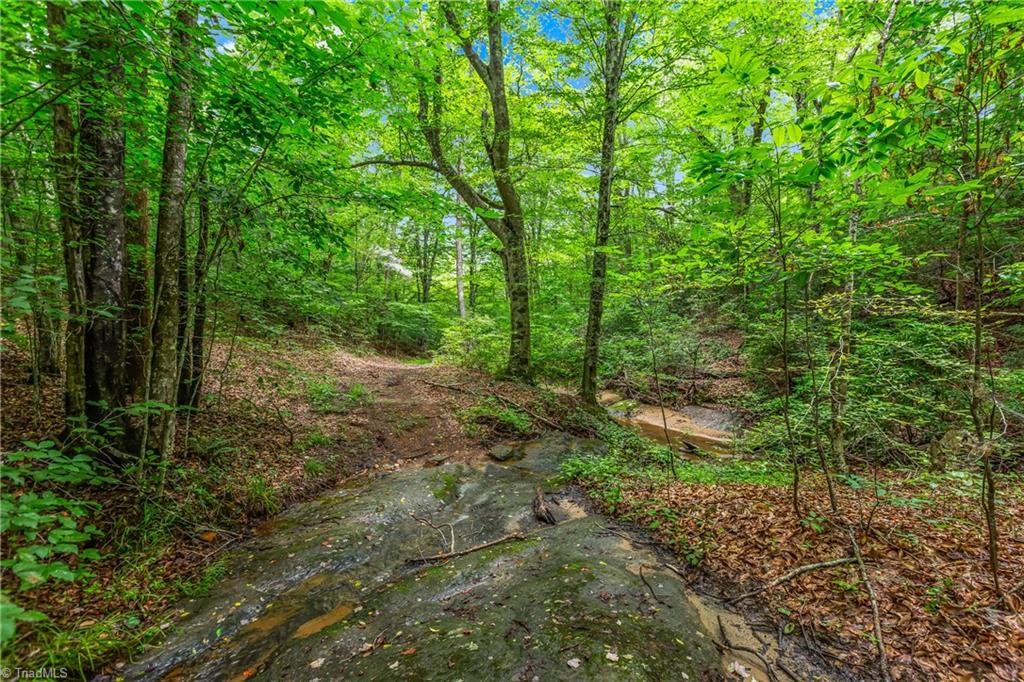 1451 John Ed Mabe Road Danbury, NC 27016 - Photo 24 of 39