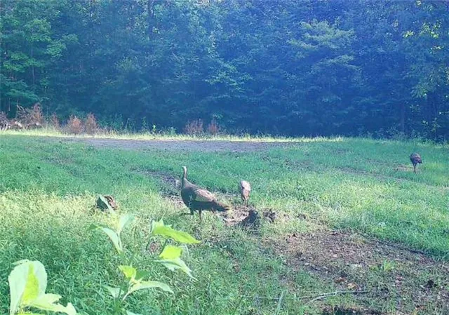 $367,500 | 1451 John Ed Mabe Road, Danbury, NC 27016