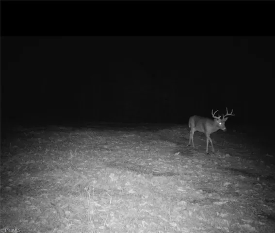 $367,500 | 1451 John Ed Mabe Road, Danbury, NC 27016