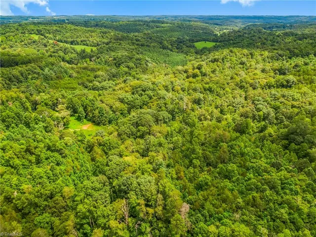 $367,500 | 1451 John Ed Mabe Road, Danbury, NC 27016