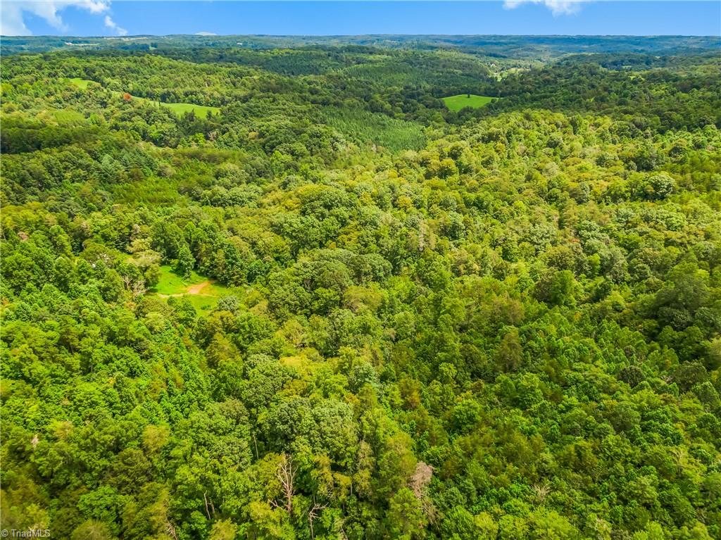 1451 John Ed Mabe Road Danbury, NC 27016 - Photo 4 of 39