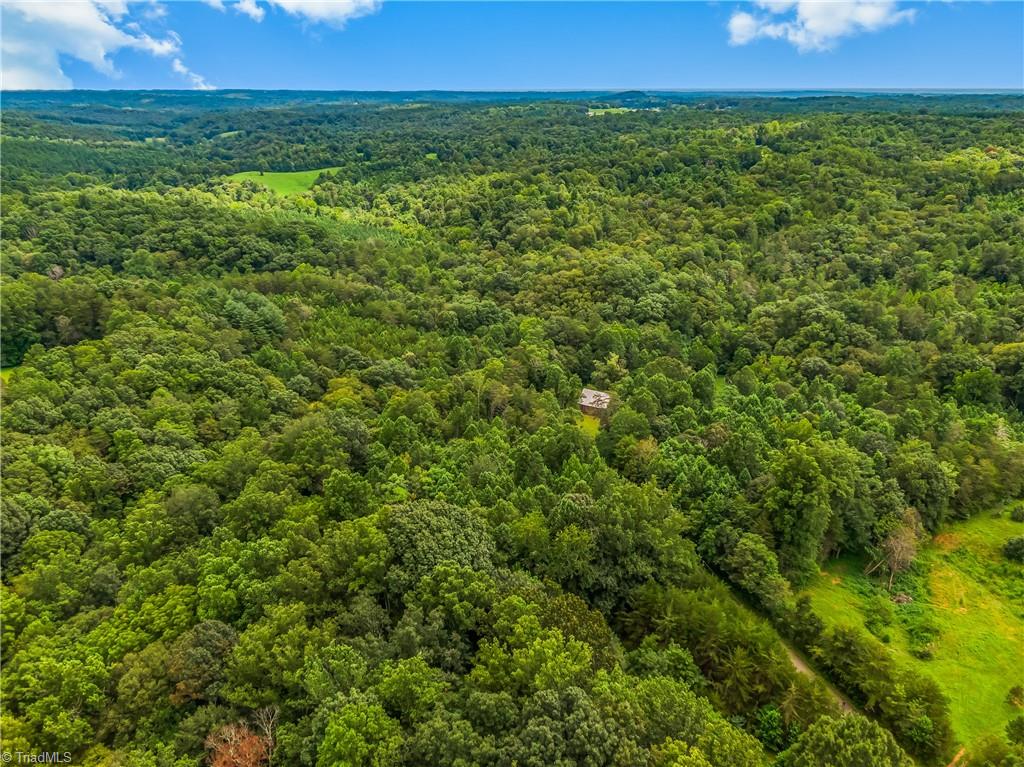 1451 John Ed Mabe Road Danbury, NC 27016 - Photo 5 of 39